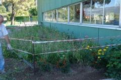 giardino-1