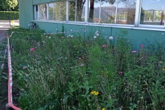 giardino-2