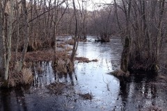 zoc-inverno-3