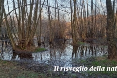 risveglio-natura-1