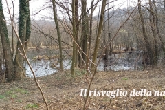 risveglio-natura-2