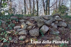 cima-piantela