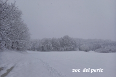 zoc8